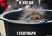 я, когда 1 сентября