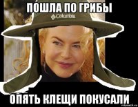 пошла по грибы опять клещи покусали