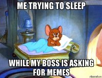me trying to sleep while my boss is asking for memes