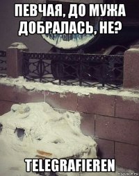 певчая, до мужа добралась, не? telegrafieren