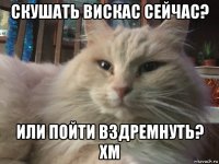 скушать вискас сейчас? или пойти вздремнуть? хм