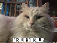  мыши-маваши