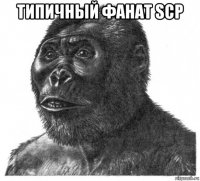 типичный фанат scp 