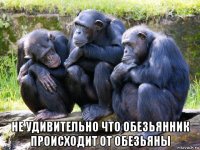 не удивительно что обезьянник происходит от обезьяны