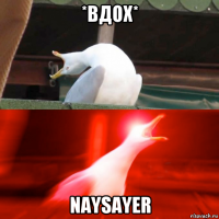 *вдох* naysayer