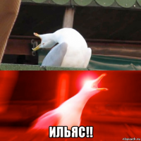  ильяс!!