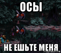 осы не ешьте меня
