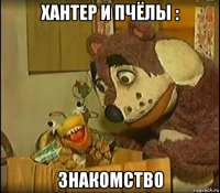 хантер и пчёлы : знакомство