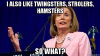 i also like twingsters, strolers, hamsters so what?