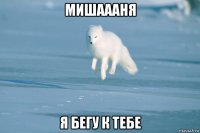 мишаааня я бегу к тебе