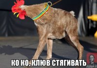  ко ко, клюв стягивать