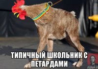  типичный школьник с петардами