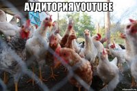 аудитория youtube 