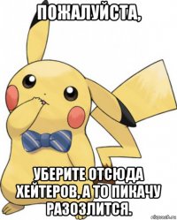 пожалуйста, уберите отсюда хейтеров, а то пикачу разозлится.