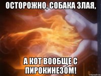осторожно, собака злая, а кот вообще с пирокинезом!