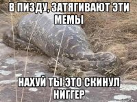 в пизду, затягивают эти мемы нахуй ты это скинул ниггер
