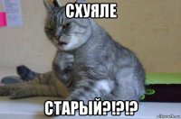 схуяле старый?!?!?