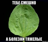 тебе смешно а болезни тяжелые
