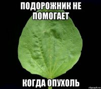 подорожник не помогает когда опухоль