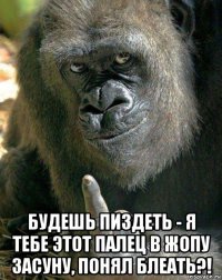  будешь пиздеть - я тебе этот палец в жопу засуну, понял блеать?!