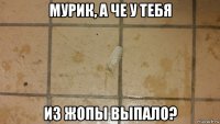мурик, а че у тебя из жопы выпало?