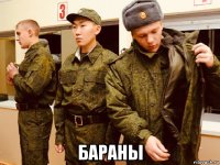  бараны