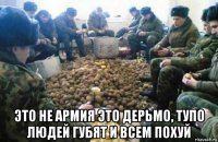  это не армия это дерьмо, тупо людей губят и всем похуй