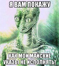 я вам покажу как мои майские указы не исполнять!