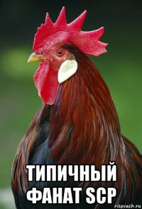  типичный фанат scp