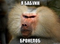 я бабуин бронелоб