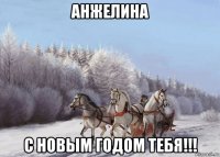 анжелина с новым годом тебя!!!