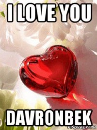 i love you davronbek