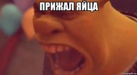 прижал яйца 