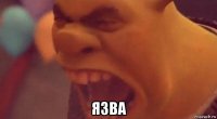  язва