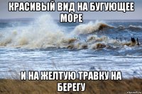 красивый вид на бугующее море и на желтую травку на берегу