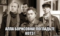  алла борисовна! погладьте котэ !