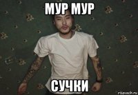 мур мур сучки