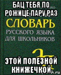 бац тебя по рожице пару раз этой полезной книжечкой