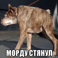  морду стянул