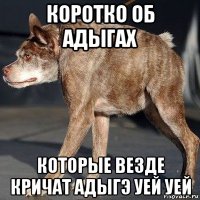 коротко об адыгах которые везде кричат адыгэ уей уей