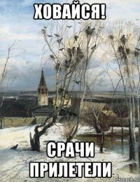 ховайся! срачи прилетели