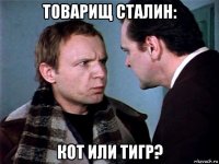 товарищ сталин: кот или тигр?