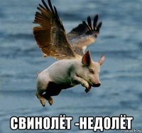  свинолёт -недолёт