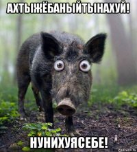 ахтыжёбаныйтынахуй! нунихуясебе!