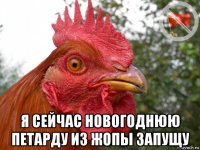  я сейчас новогоднюю петарду из жопы запущу
