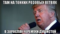 там на тонких розовых ветвях в зарослях черемухи душистой