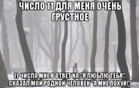 число 11 для меня очень грустное 11 числа мне в ответ на "я люблю тебя" сказал мой родной человек "а мне похуй!"