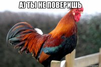 a) ты не поверишь 
