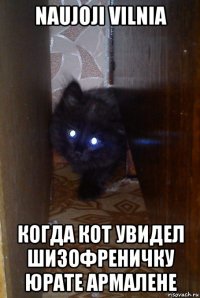 naujoji vilnia когда кот увидел шизофреничку юрате армалене