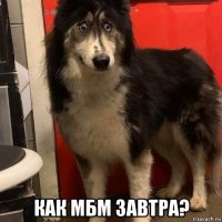  как мбм завтра?